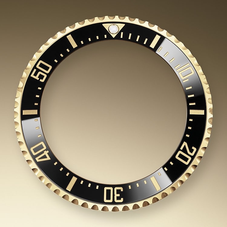 ceramic bezel and luminescent display oystersteel and yellow gold 51719