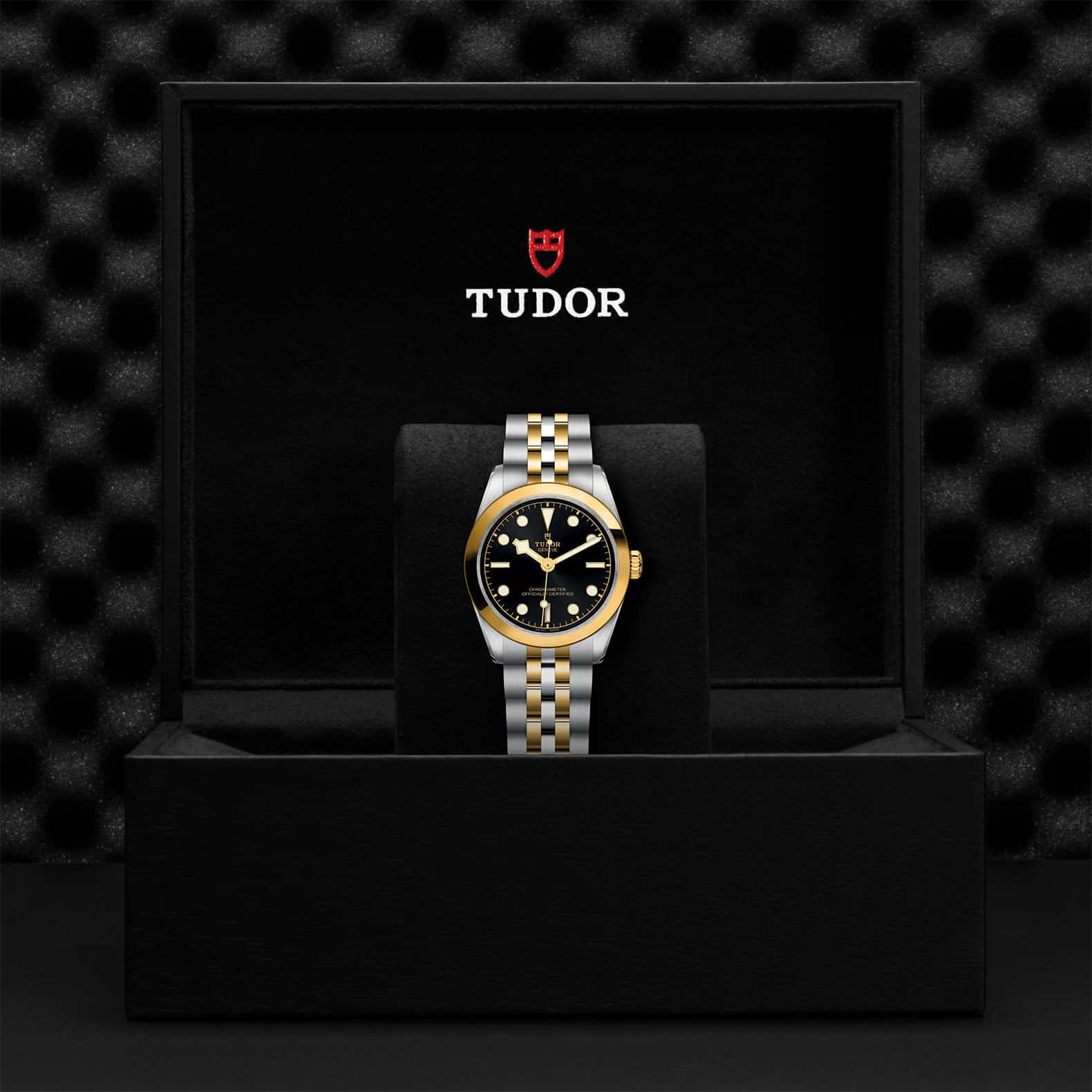 Tudor Watch Assets M79603 0001 Presentation Box