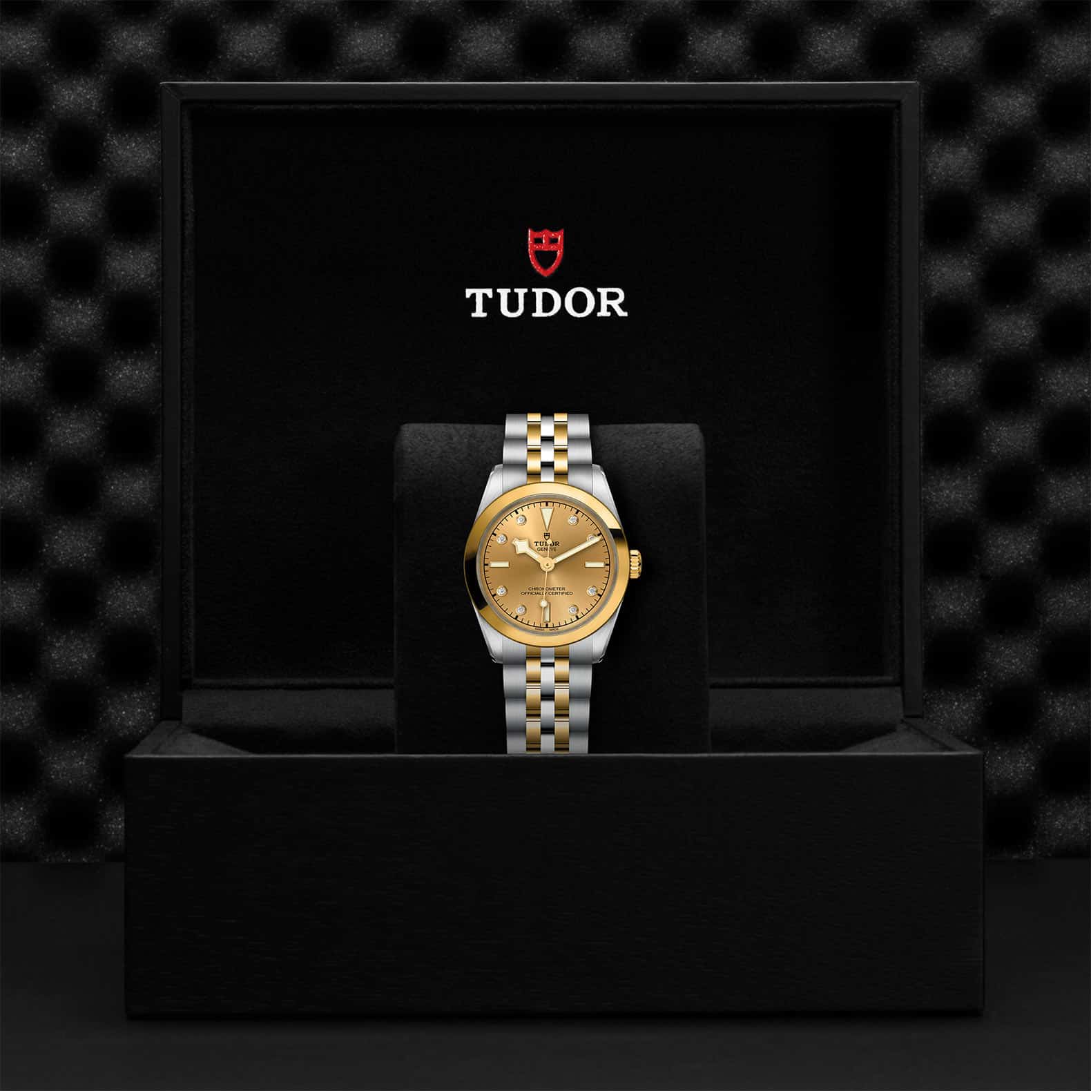 Tudor Watch Assets M79603 0008 Presentation Box