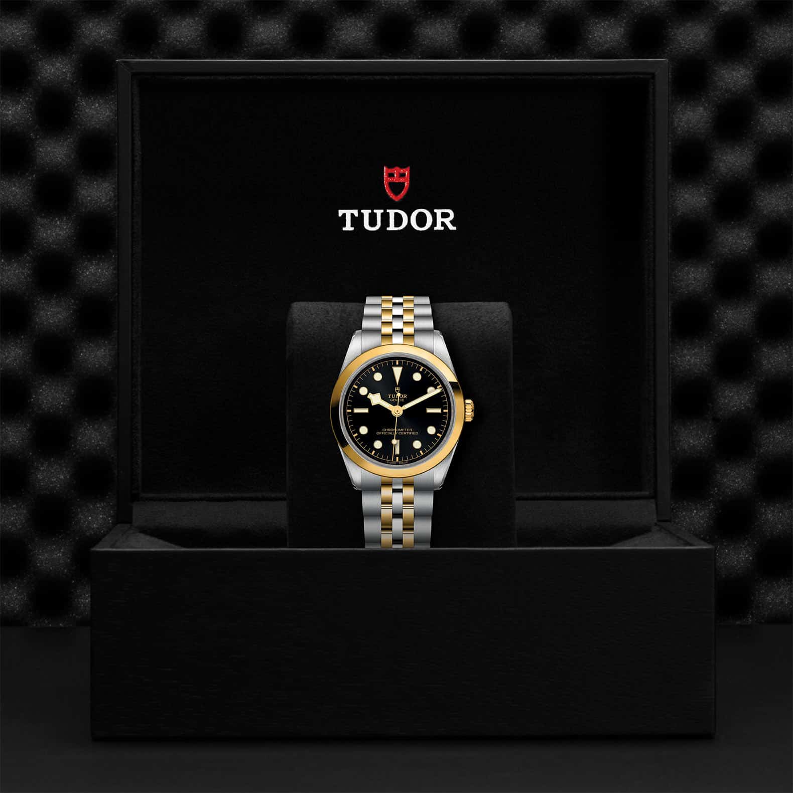 Tudor Watch Assets M79643 0001 Presentation Box