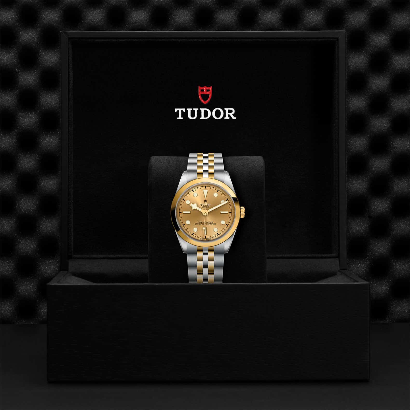 Tudor Watch Assets M79643 0005 Presentation Box
