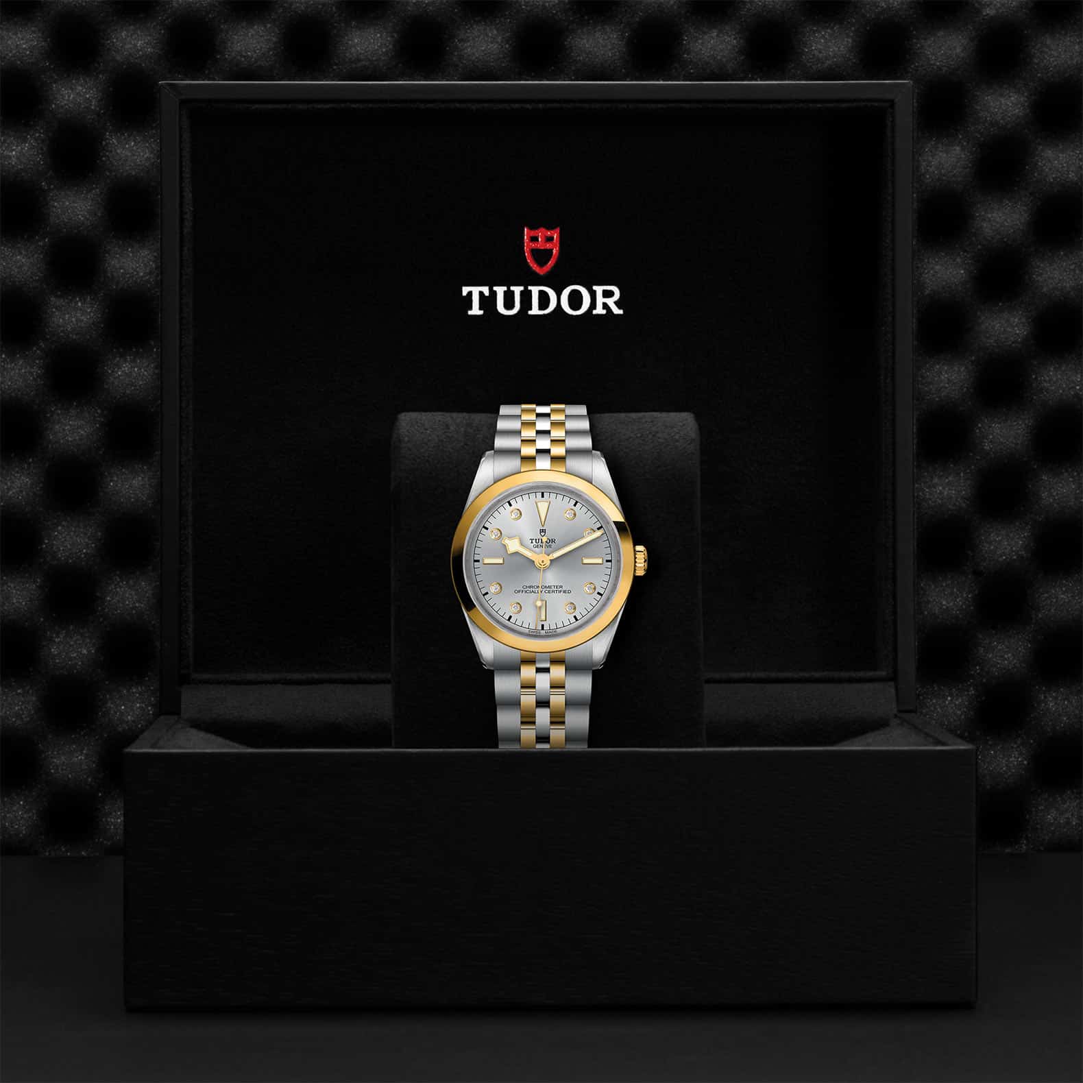 Tudor Watch Assets M79643 0007 Presentation Box