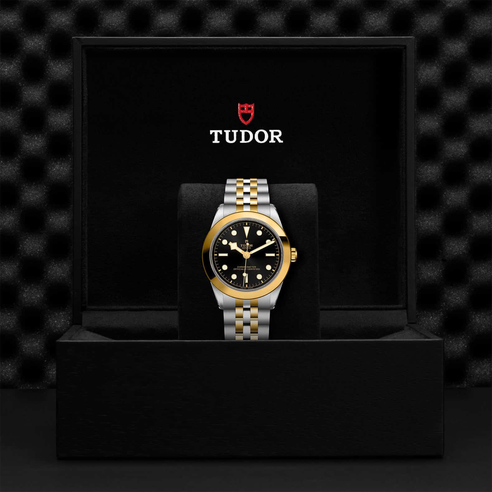 Tudor Watch Assets M79663 0001 Presentation Box