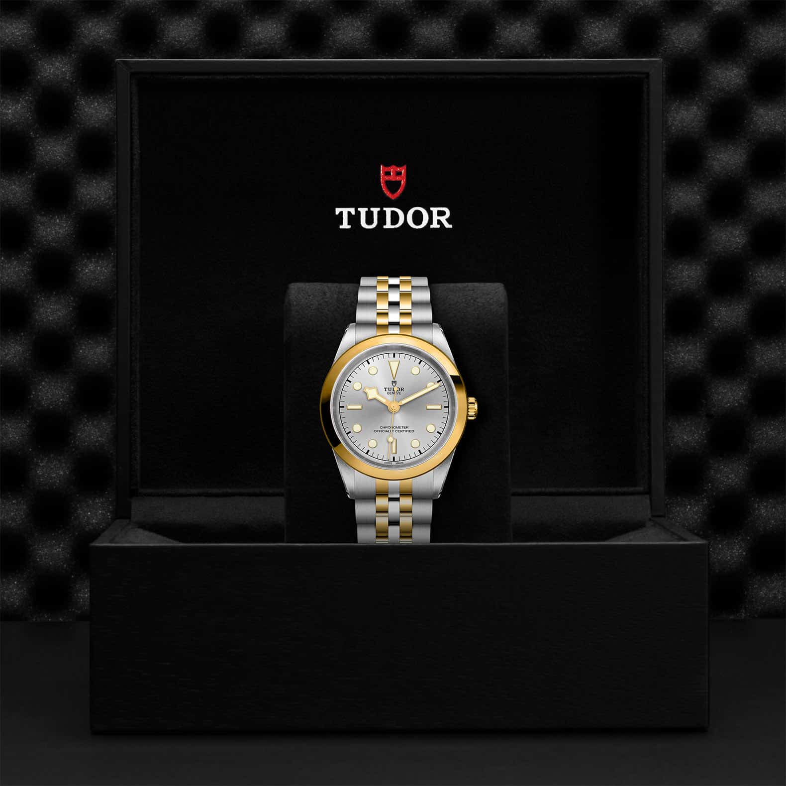 Tudor Watch Assets M79683 0002 Presentation Box