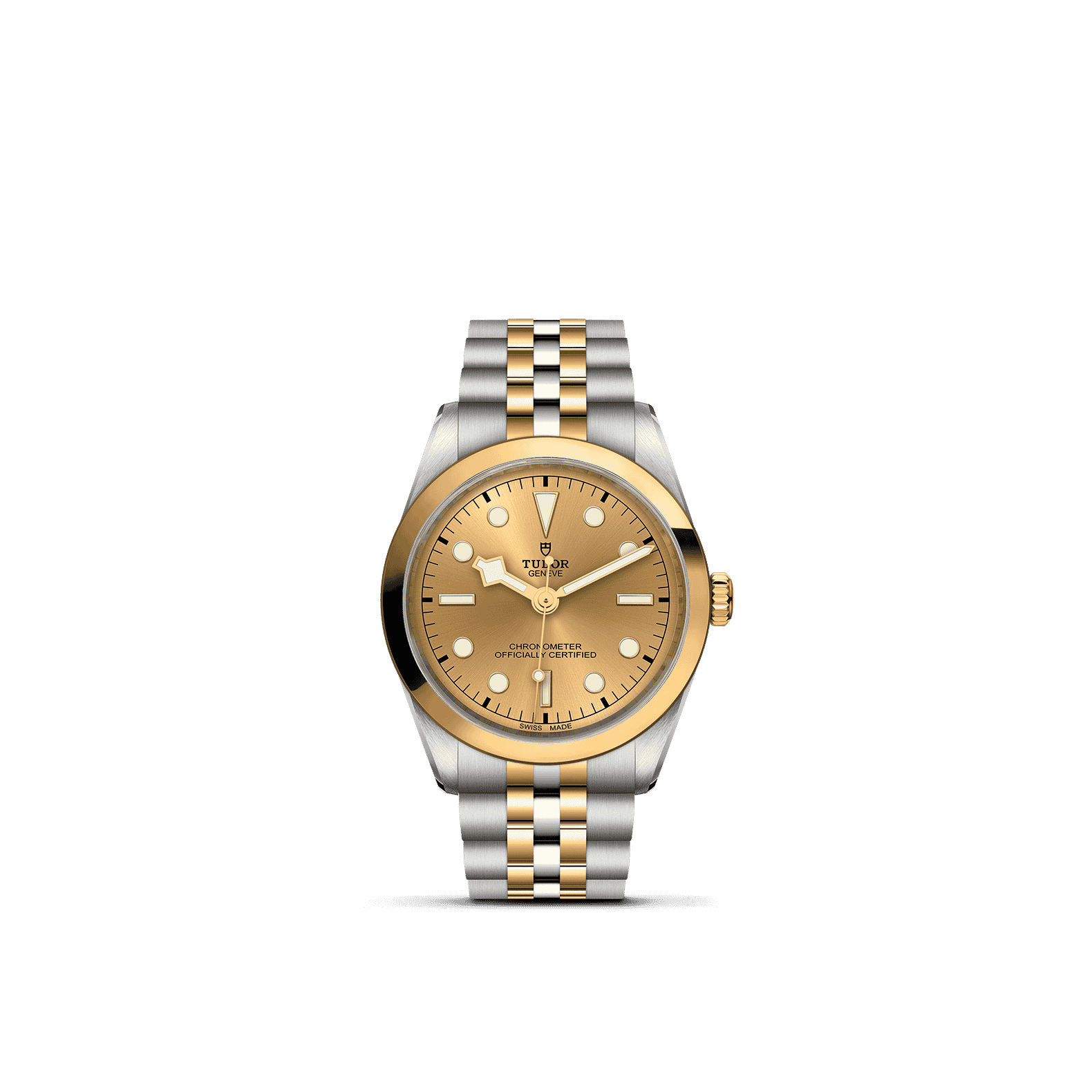 Tudor Watch AssetsM79643 0005 Upright Transparent Background