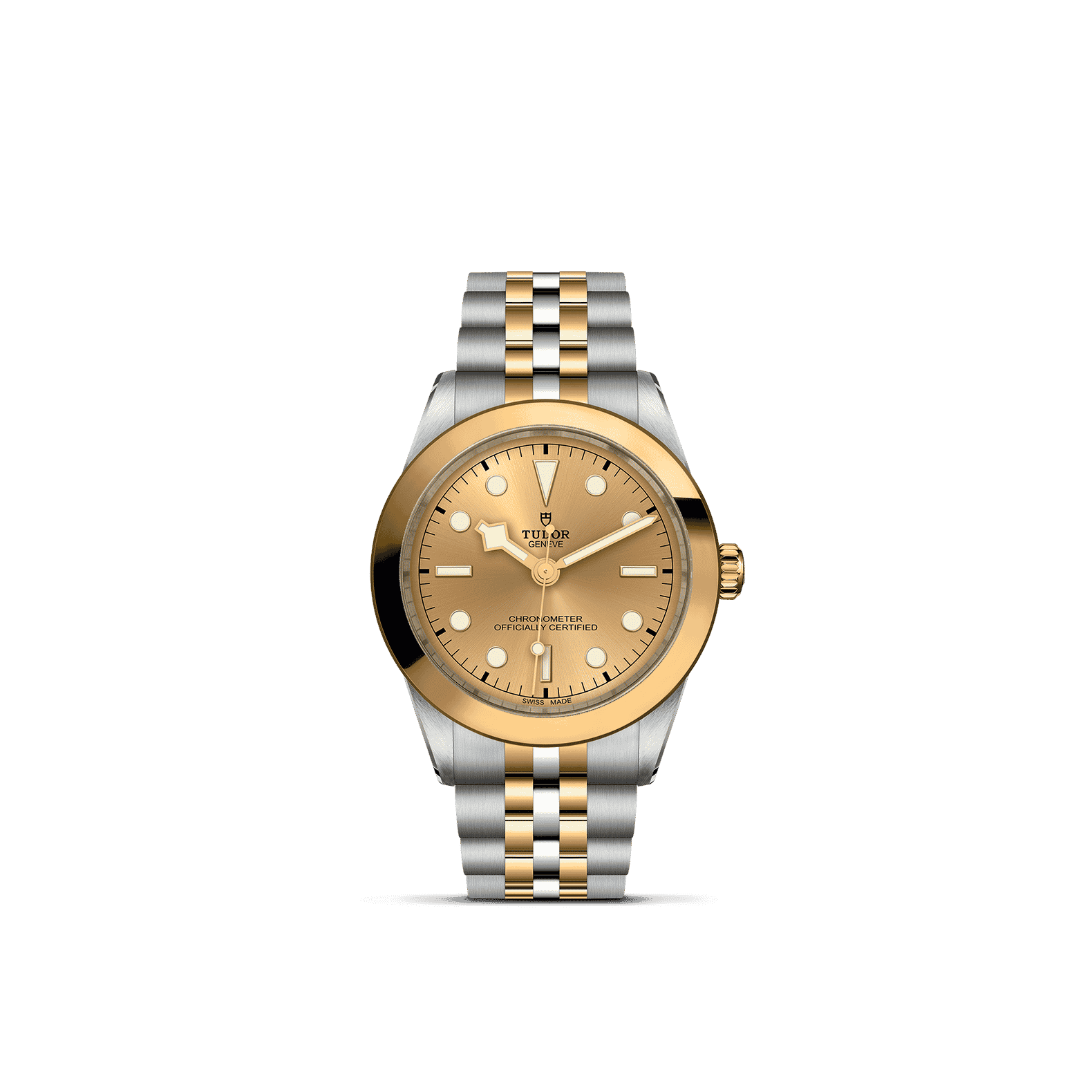 Tudor Watch AssetsM79663 0005 Upright Transparent Background