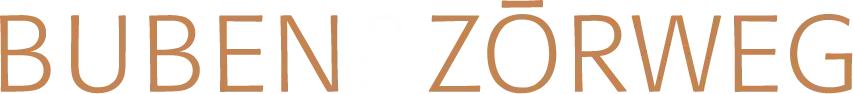 bz logo 2x
