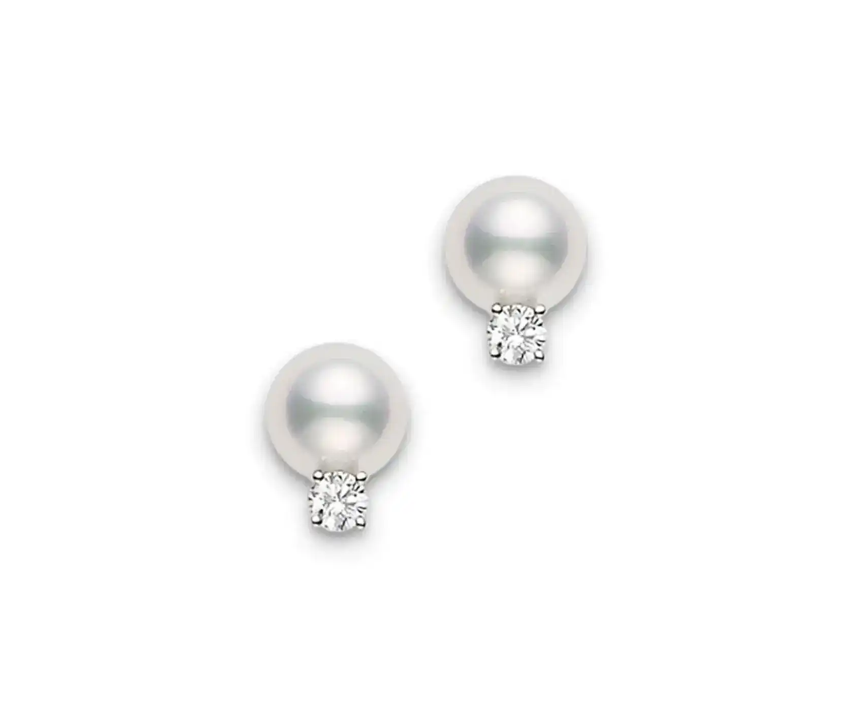 Small Akoya Saltwater Pearl Earrings 6-6.5mm On 9K White Gold